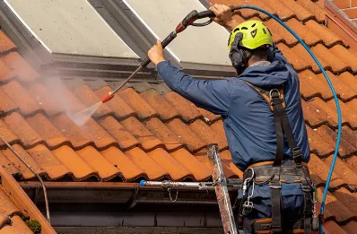 Démoussage et hydrofuge de toiture à Riche
